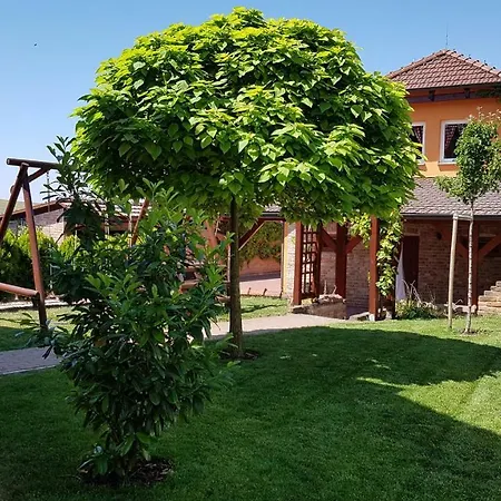 Na Vinarske Stezce *