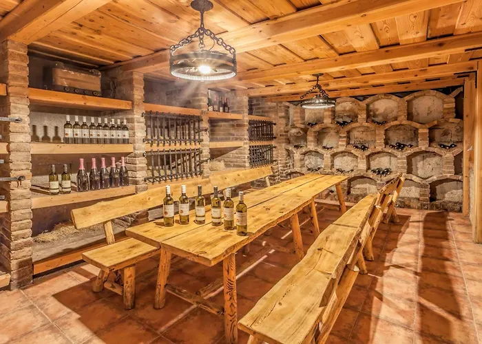 Σπίτι διακοπών Na Vinarske Stezce Starovicky